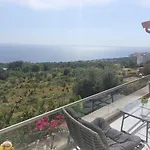Olives Resort