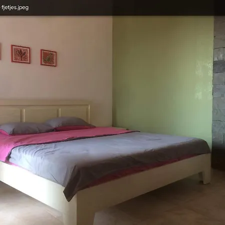 Resort Olives Dhermi