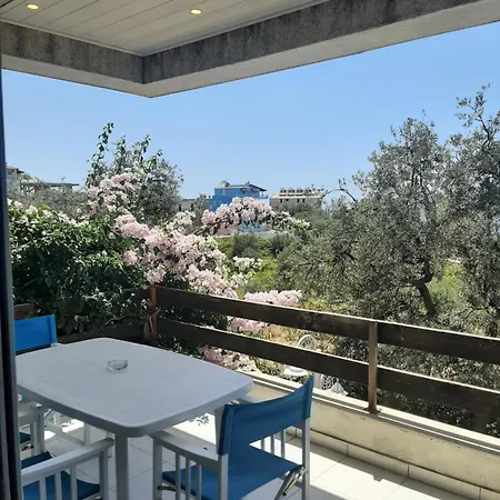 Olives 3* Dhermi