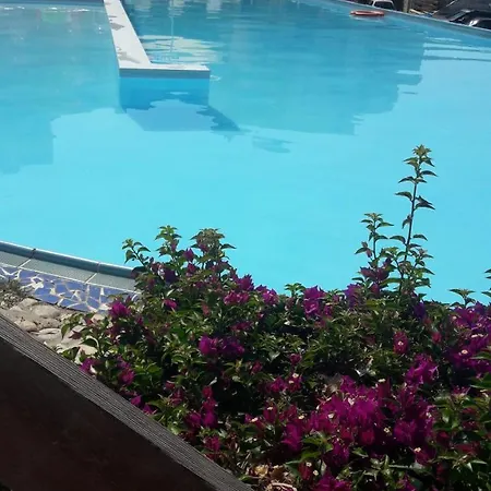 Olives Resort 3*
