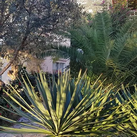 Resort Olives Dhermi