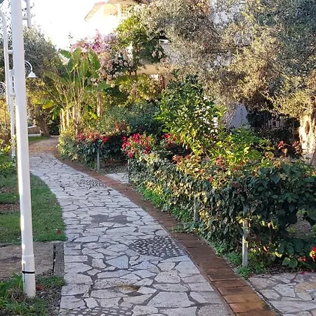Olives Resort