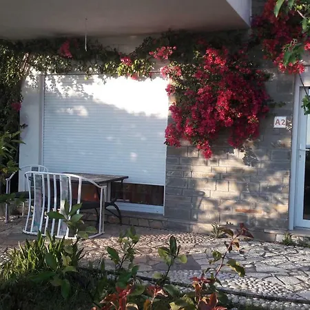 Olives Resort