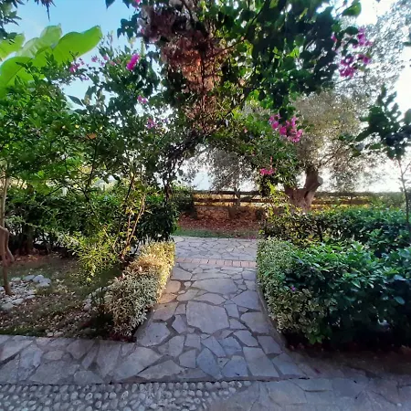 Resort Olives 3*