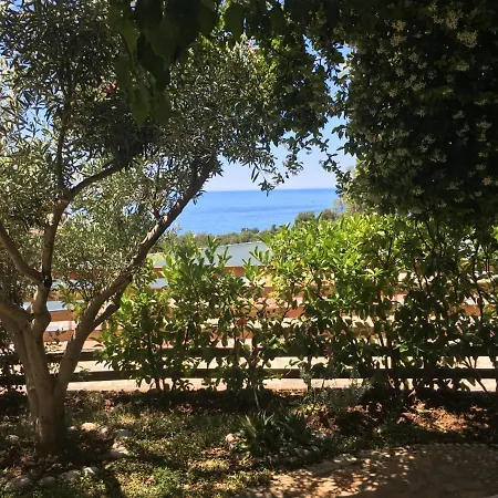 Olives 度假村 3*
