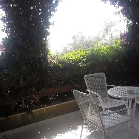 Olives ديرمي